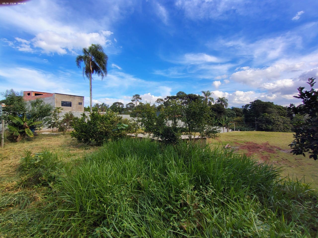 Terreno, 2304 m² - Foto 10