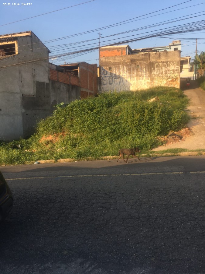 Terreno, 300 m² - Foto 3