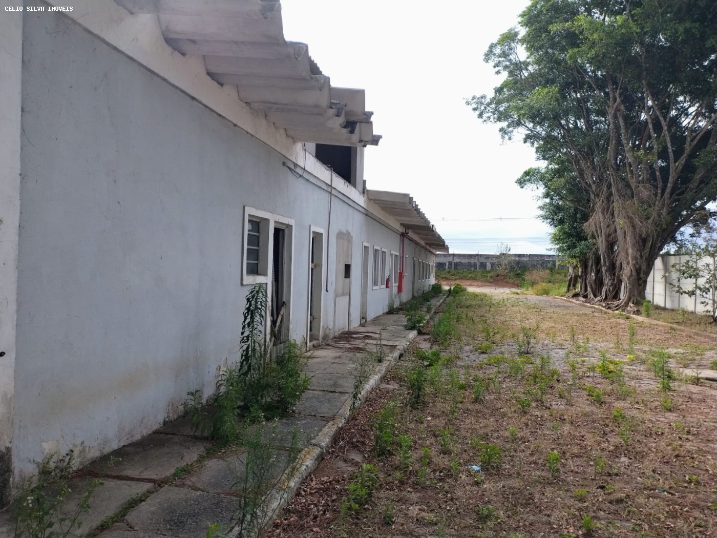 Depósito-Galpão - Foto 7