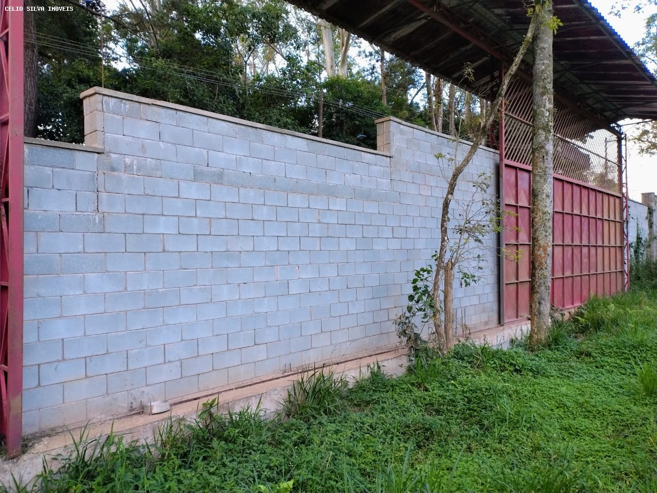 Terreno, 10000 m² - Foto 3