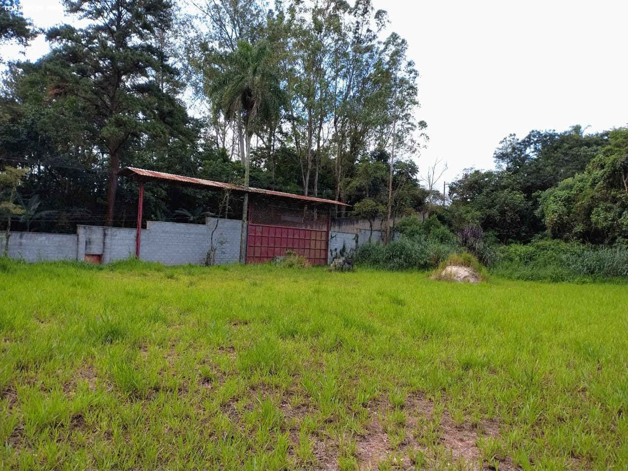 Terreno, 10000 m² - Foto 6