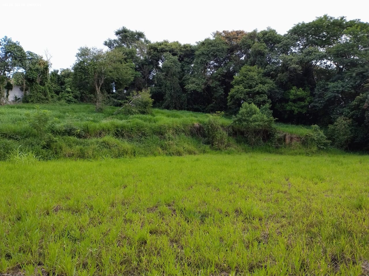 Terreno, 10000 m² - Foto 8