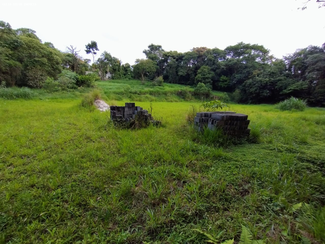 Terreno, 10000 m² - Foto 11