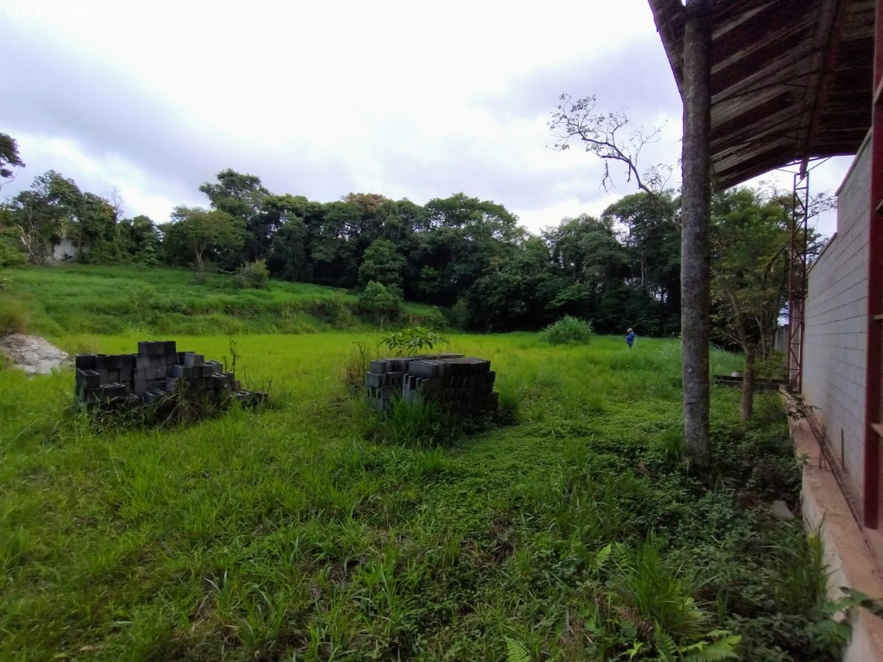 Terreno, 10000 m² - Foto 10