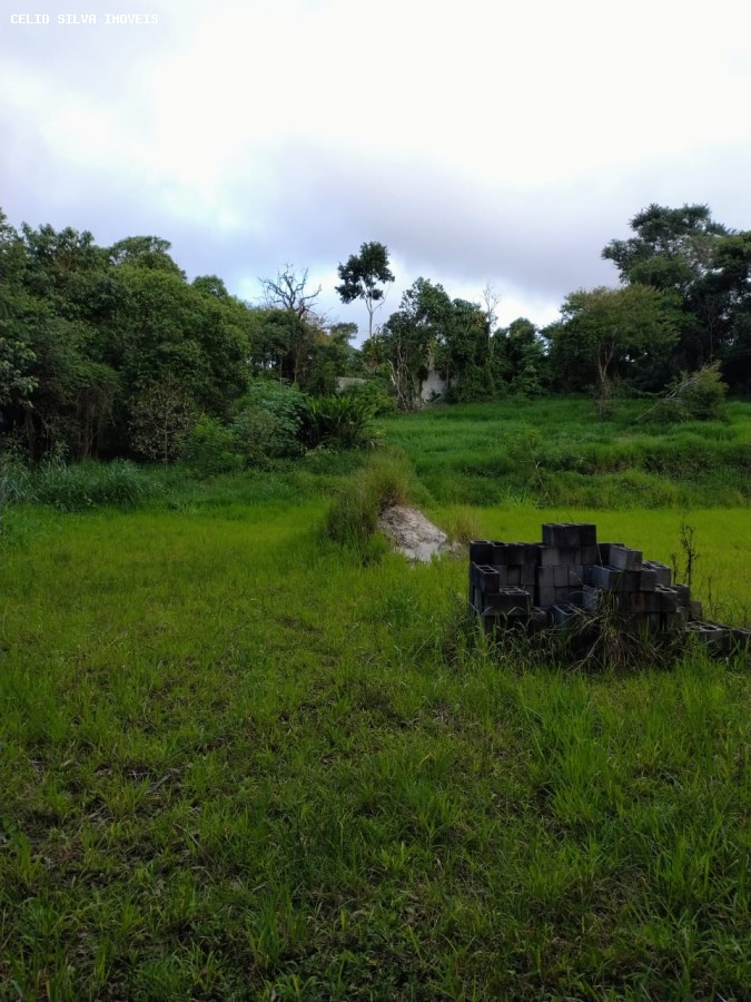 Terreno, 10000 m² - Foto 13