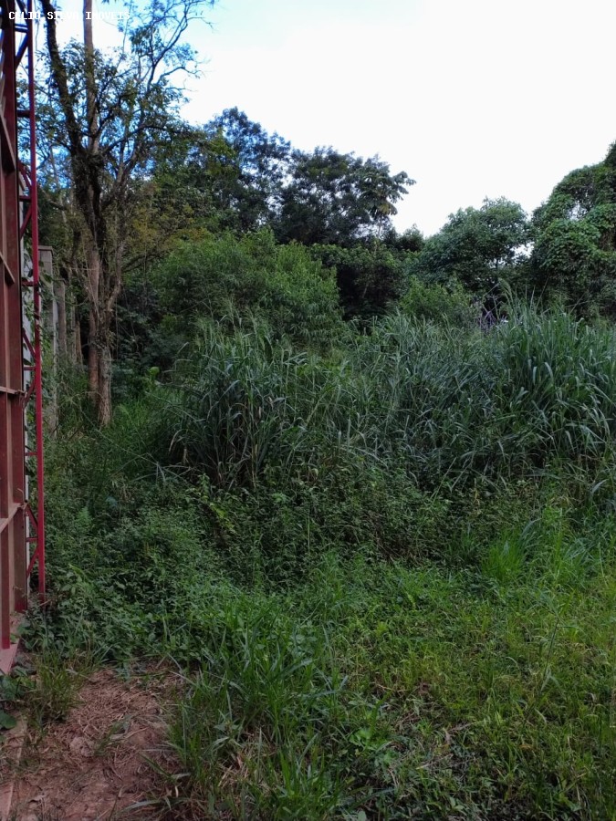 Terreno, 10000 m² - Foto 12