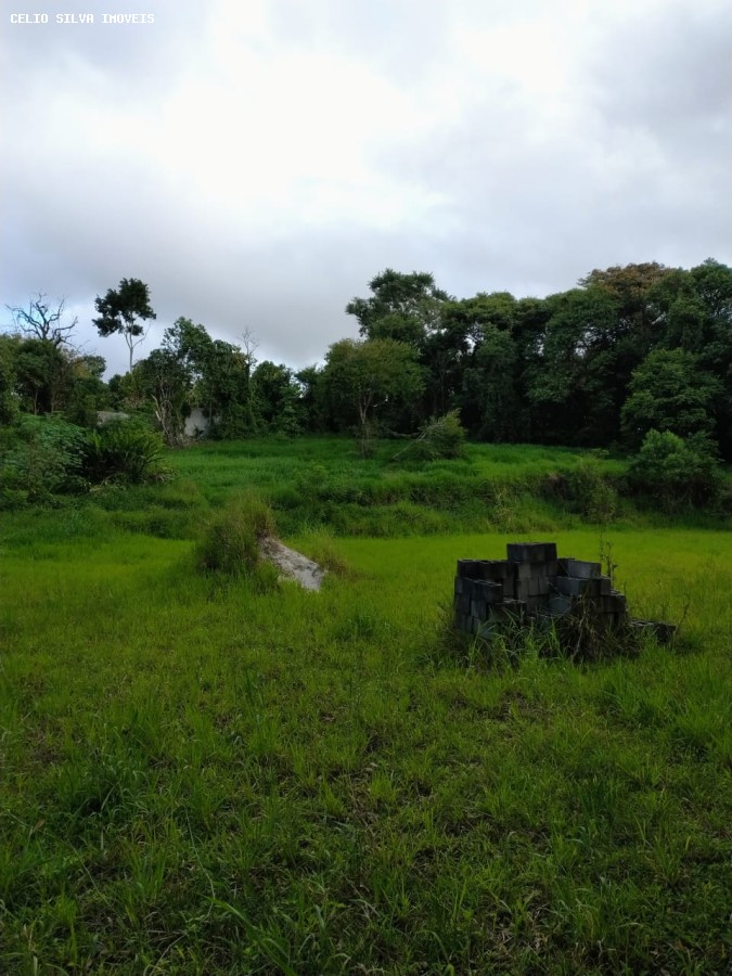 Terreno, 10000 m² - Foto 14