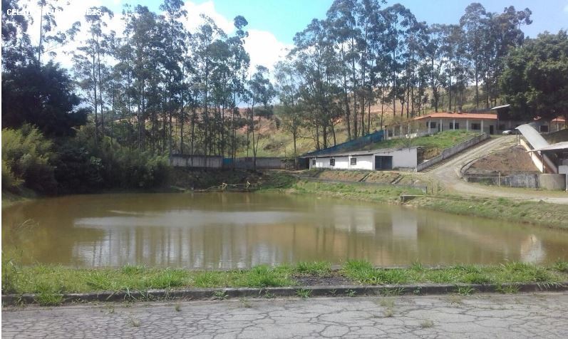 Depósito-Galpão, 5499 m² - Foto 3